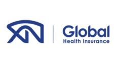 vn global